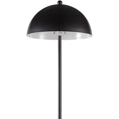Starlena Rustic Black Floor Lamp