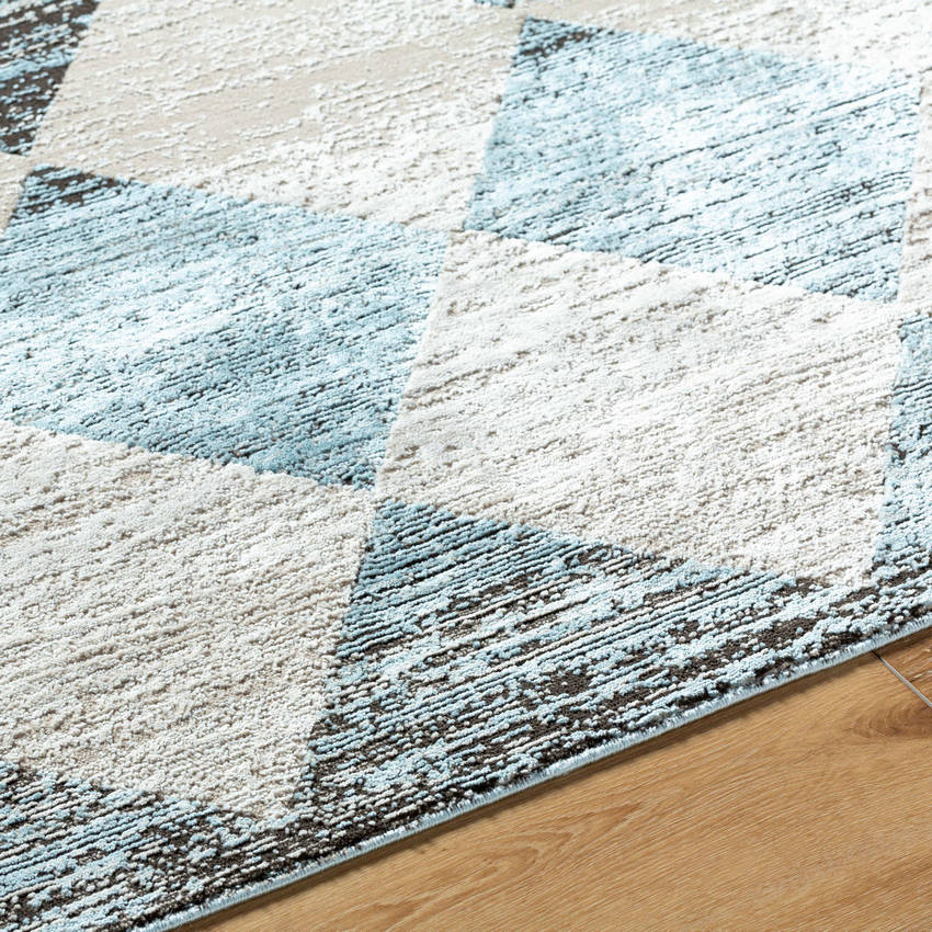 Eligio Modern Blue Area Rug