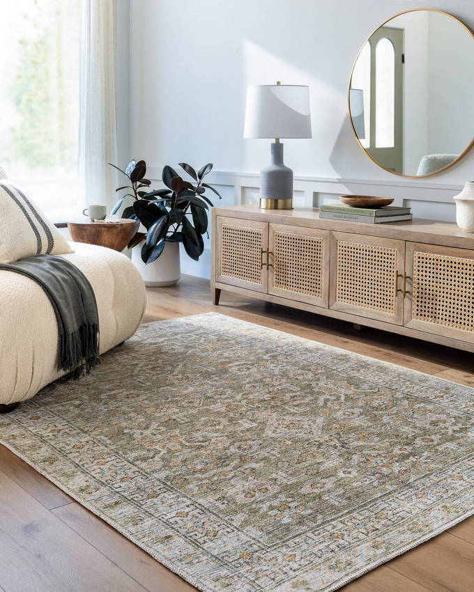 Dian Traditional Khaki/Light Silver Washable Area Rug