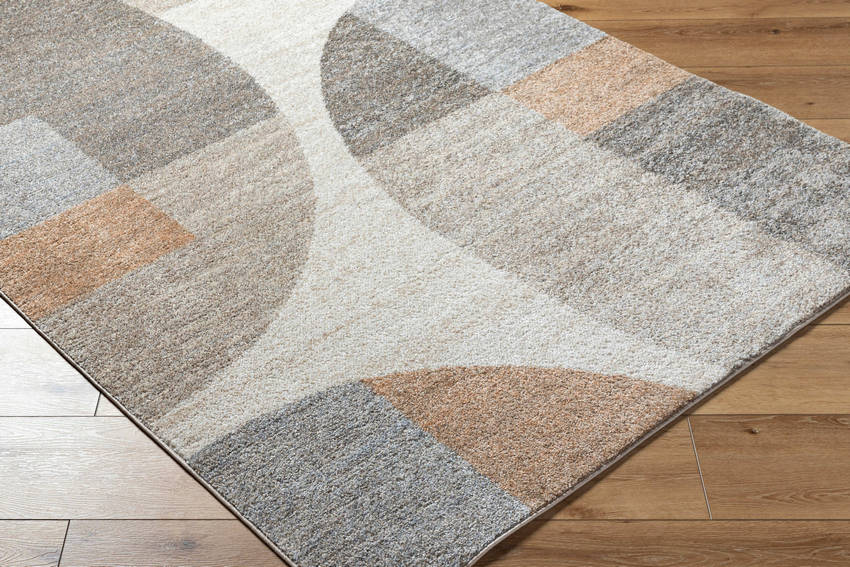 Ananda Modern Light Brown Area Rug