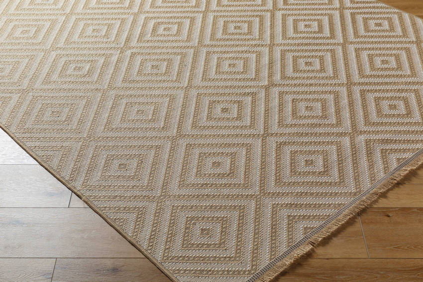 Ayn Cottage Tan/Light Beige Washable Area Rug
