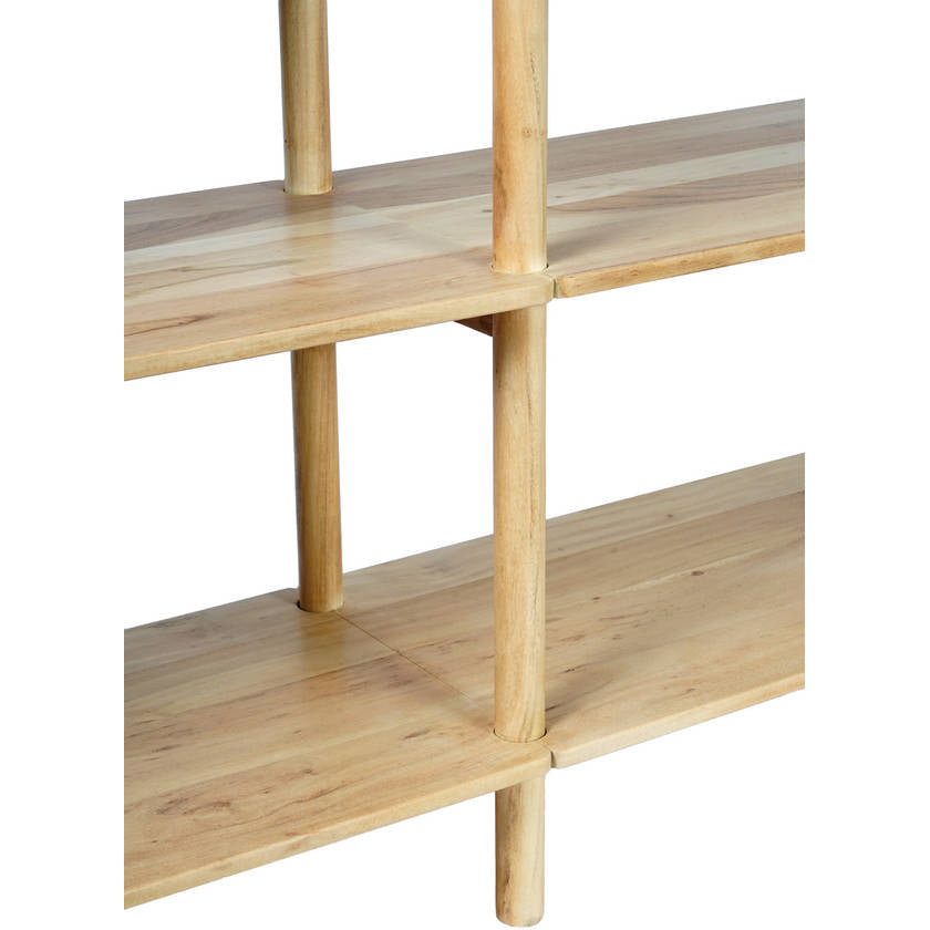 Rickita Brown Bookcase