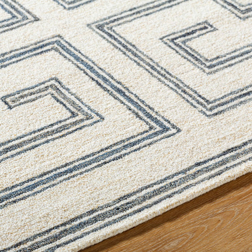 Capria Global Medium Gray/Light Beige Area Rug