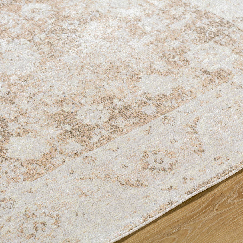 Chinenye Traditional Rust Washable Area Rug