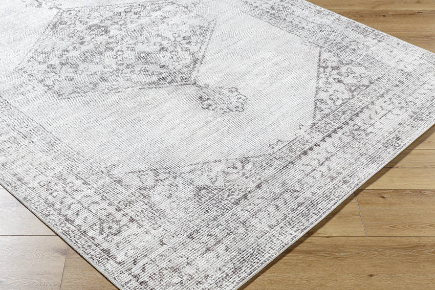 Olympic Traditional Tan/Cream Area Rug - Our PNW Home x Livabliss