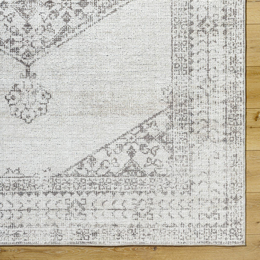 Olympic Traditional Tan/Cream Area Rug - Our PNW Home x Livabliss