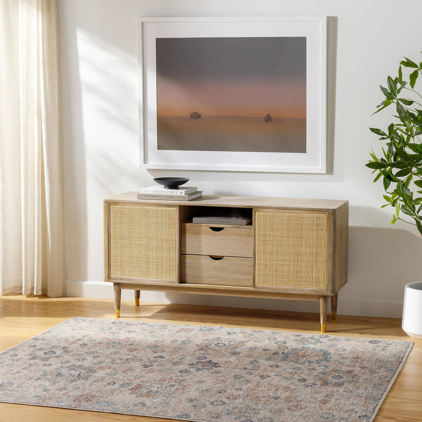 Olympic Traditional Gray/Light Beige Area Rug - Our PNW Home x Livabliss