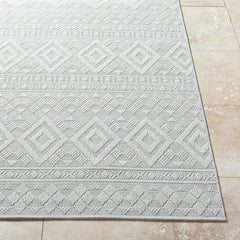 Teaira Modern Light Silver Area Rug