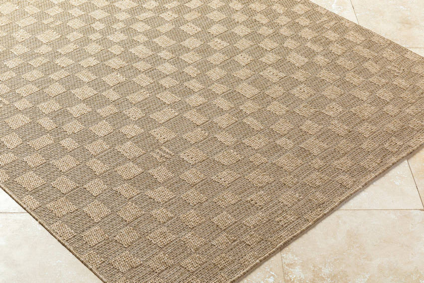 Tiphanie Cottage Light Brown Area Rug