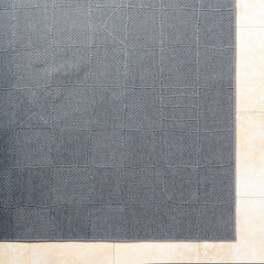 Devaris Modern Charcoal Area Rug