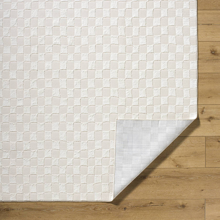 Ayleen Modern Ivory Washable Area Rug