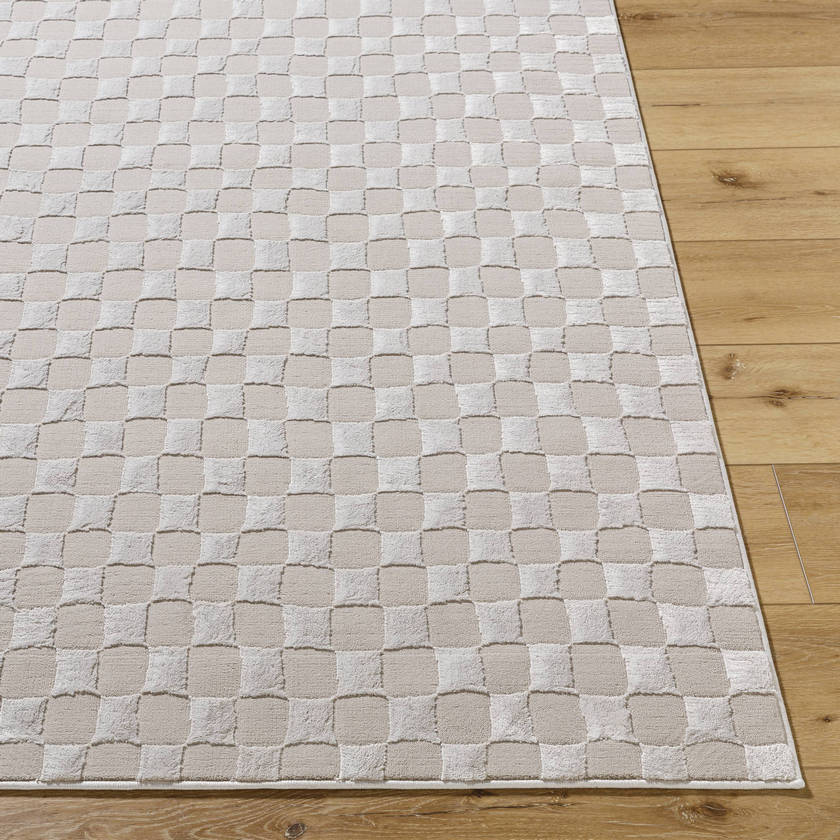 Ayleen Modern Taupe/Tan Washable Area Rug