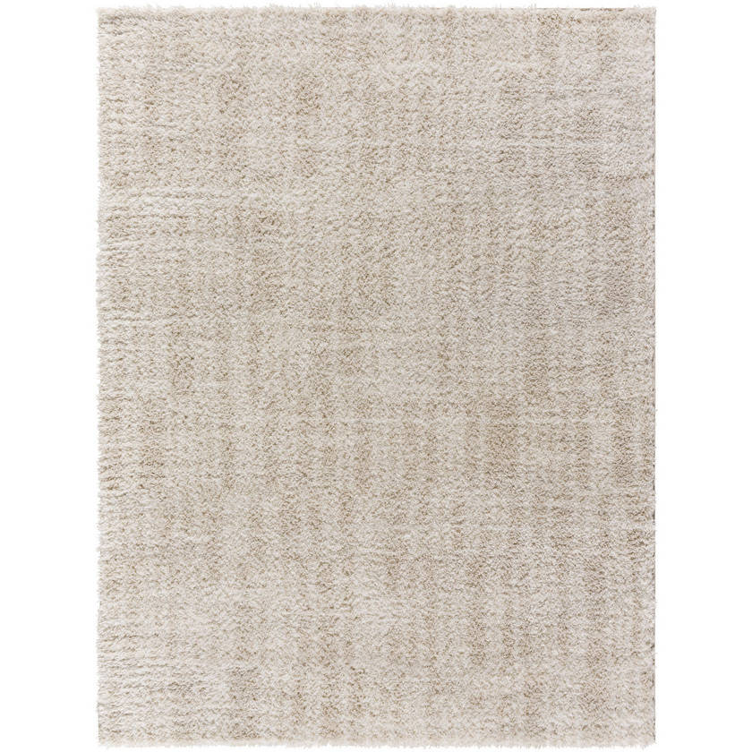 Jenica Modern Tan Area Rug