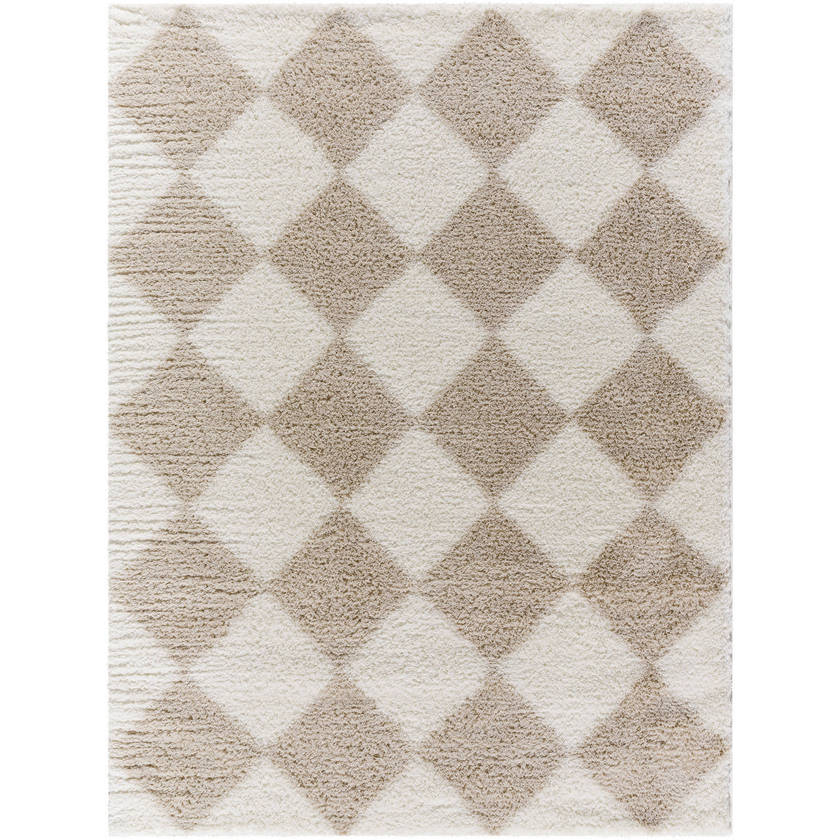 Adonica Modern Light Brown Area Rug