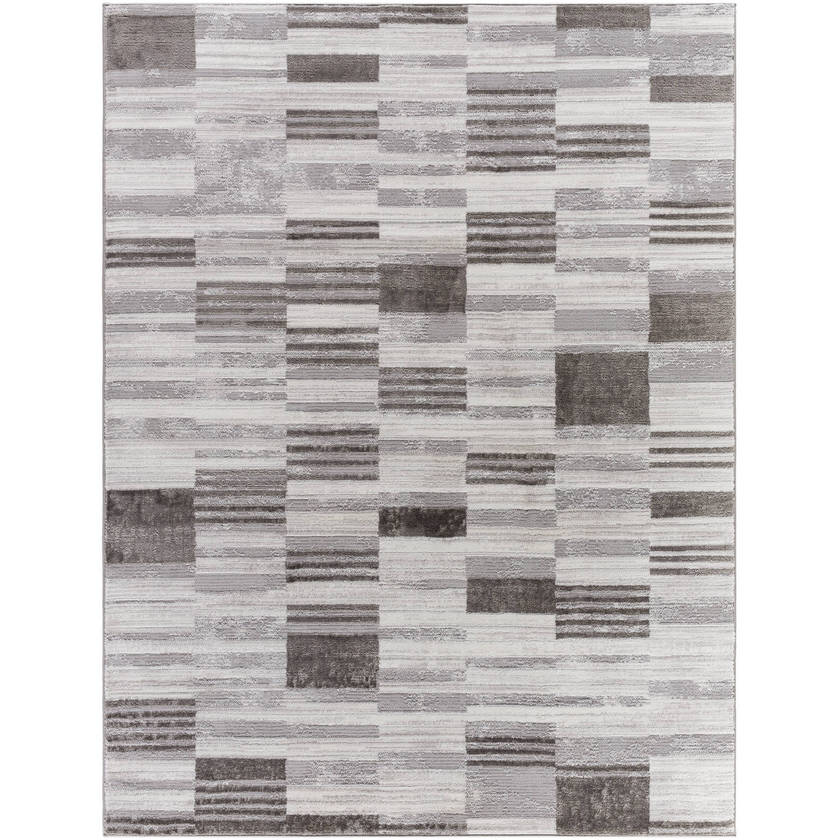 Rison Modern Medium Gray Area Rug