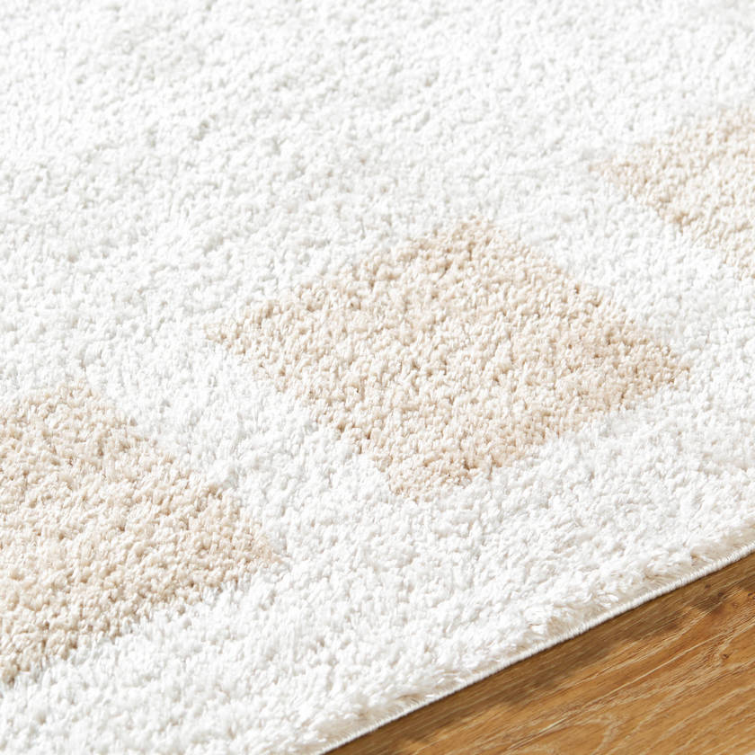 Tameka Modern Beige Washable Area Rug