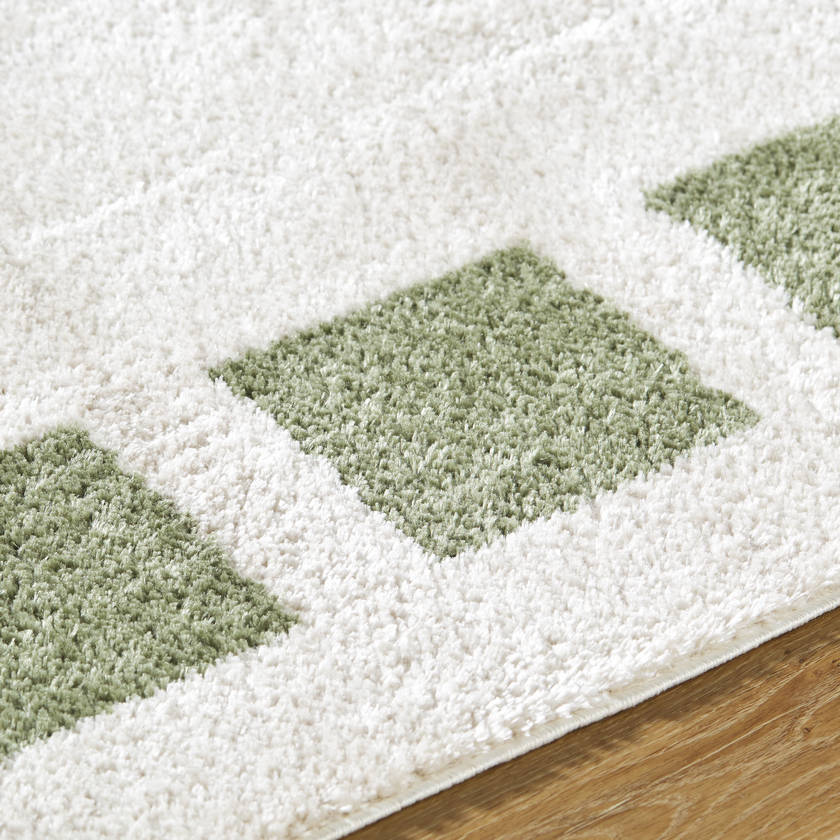 Tameka Modern Grass Green Washable Area Rug