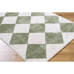 Jason Modern Grass Green Washable Area Rug