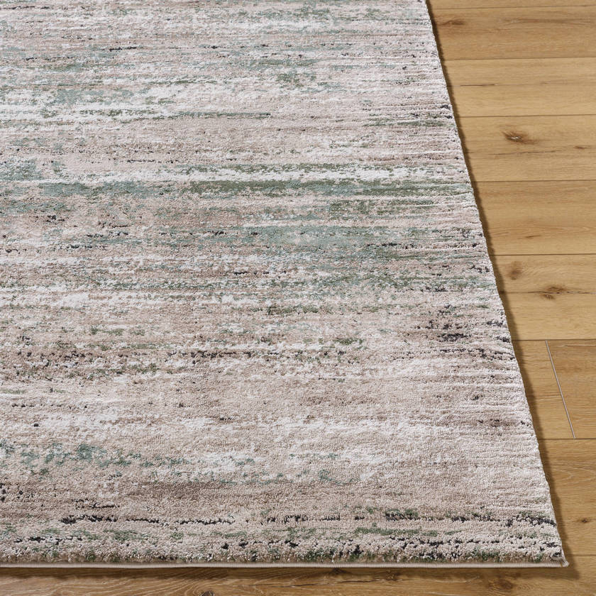 Charita Modern Dusty Sage/Tan Area Rug