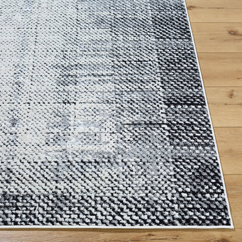 Drey Modern Black/Light Beige Area Rug