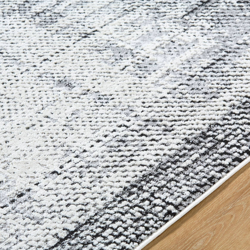 Drey Modern Black/Light Beige Area Rug
