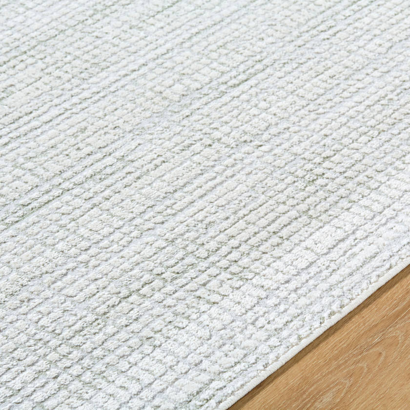 Hasson Modern Sage/Light Beige Area Rug