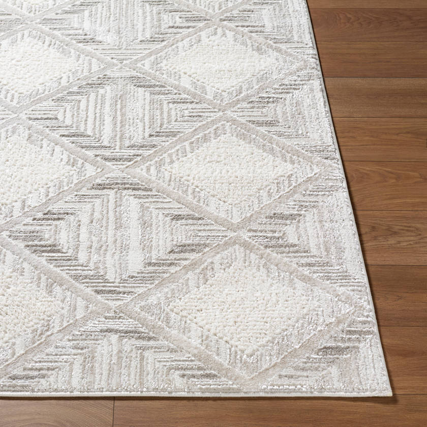 Cynda Modern Ivory Area Rug
