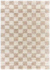 Yaakov Modern Dark Brown Area Rug