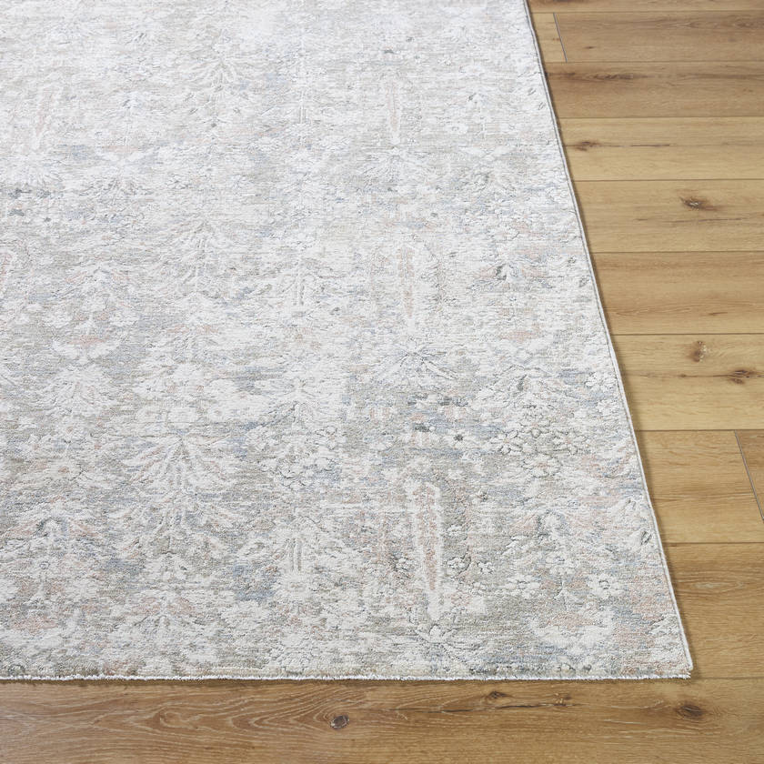 Betsaida Traditional Ash Area Rug