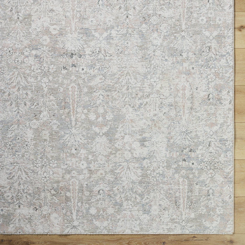 Betsaida Traditional Ash Area Rug