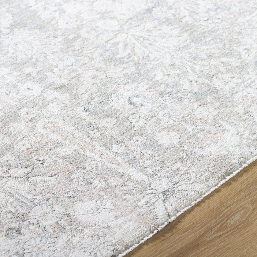 Betsaida Traditional Ash Area Rug