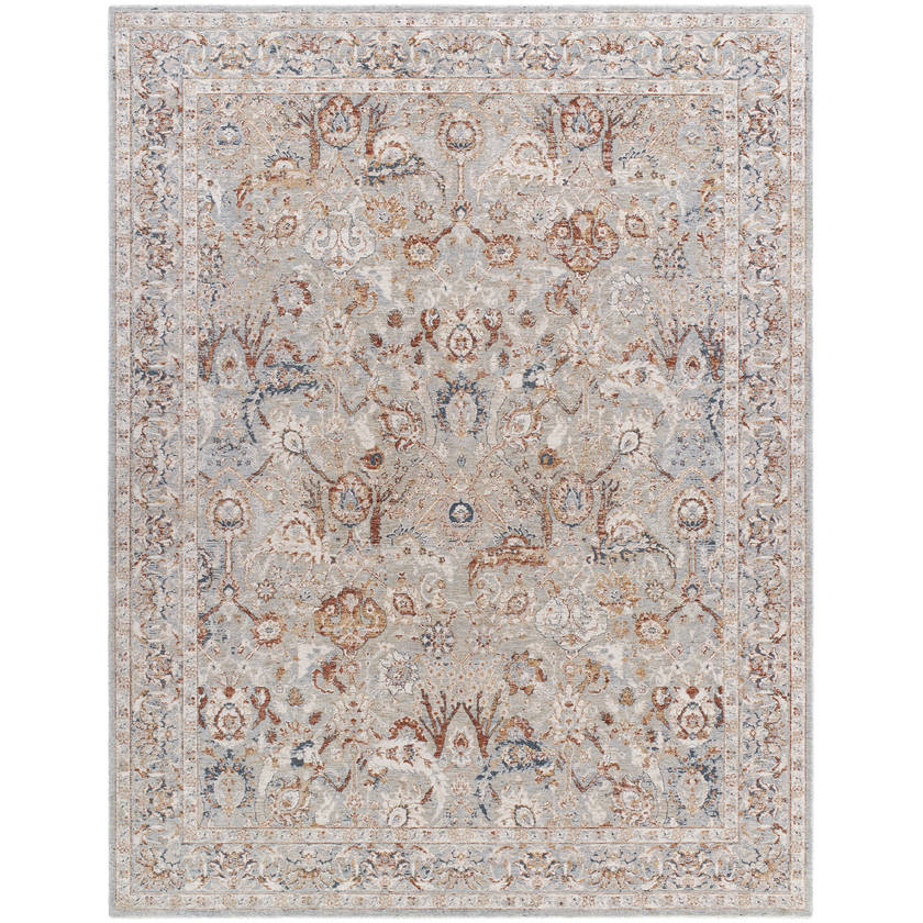 Qasim Traditional Light Gray Area Rug