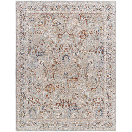 Qasim Traditional Light Gray Area Rug