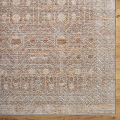 Kane Traditional Tan/Gray Area Rug