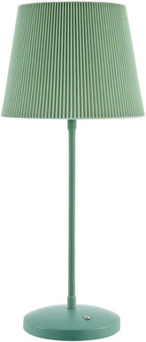 Shaquela Modern Sage Table Lamp