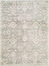 Collins Avenue Traditional Dusty Sage Area Rug - Galey Alix Livabliss