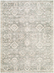 Collins Avenue Traditional Dusty Sage Area Rug - Galey Alix Livabliss