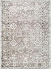 Collins Avenue Traditional Brown Area Rug - Galey Alix Livabliss