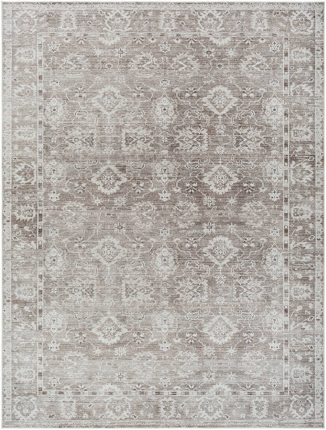 Collins Avenue Traditional Brown Area Rug - Galey Alix Livabliss