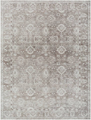 Collins Avenue Traditional Brown Area Rug - Galey Alix Livabliss