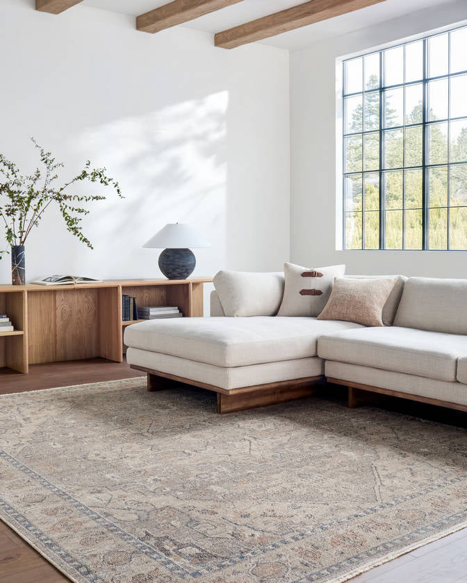 Maria Elena Traditional Taupe/Dark Blue Area Rug - Galey Alix Livabliss