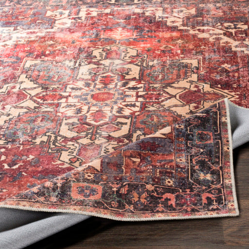 Surya Amelie Polyester Brown Rectangular Indoor Medallion Vintage Rug