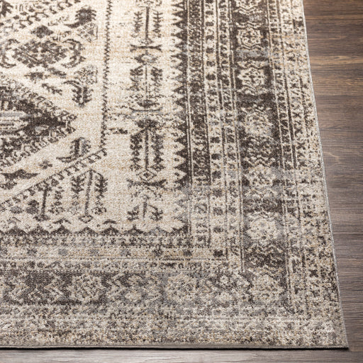 Surya Lavadora Flatweave Polyester Dark Brown Rectangular Indoor Medallion Oriental Machine washable Area Rug