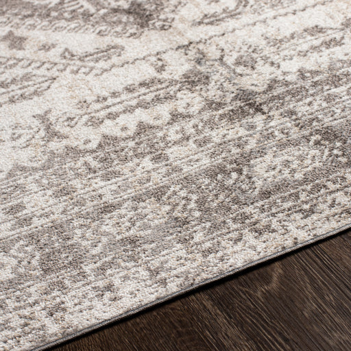 Surya Lavadora Flatweave Polyester Dark Brown Rectangular Indoor Medallion Oriental Machine washable Area Rug