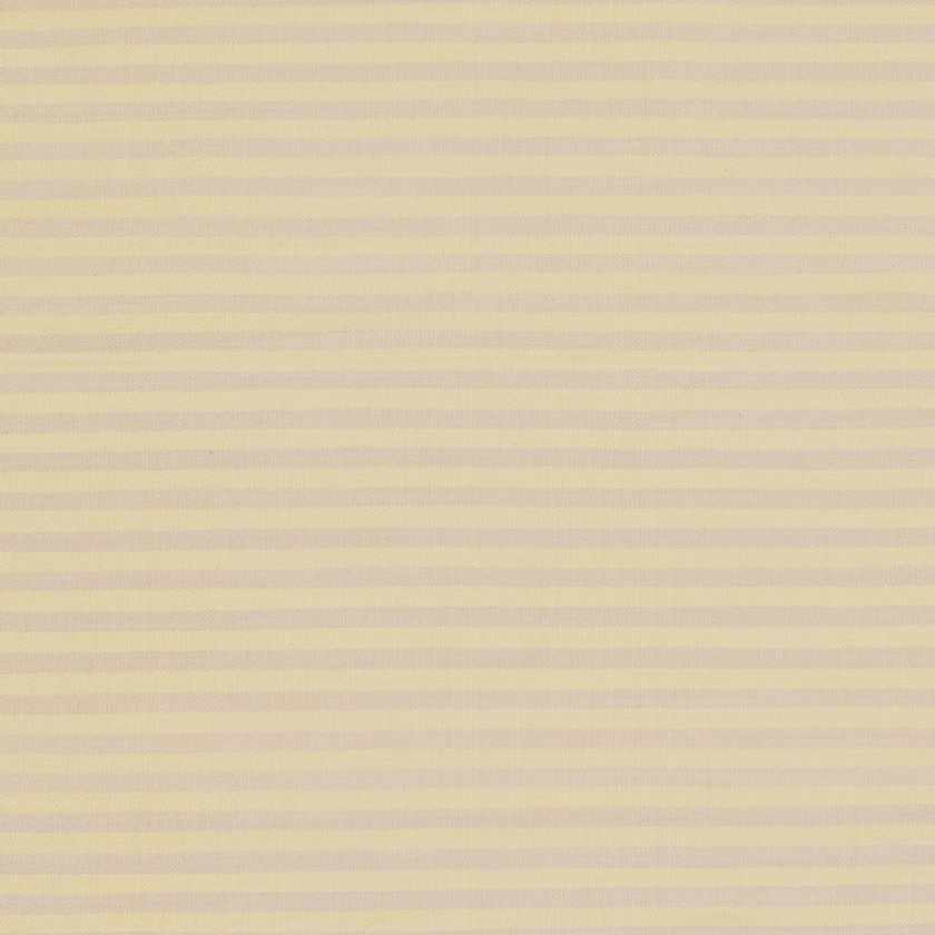Ocilla Modern Lime Area Rug