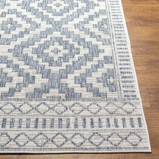Surya Tuareg Flatweave Polypropylene Cream Rectangular Indoor/Outdoor Tribal Global Area Rug
