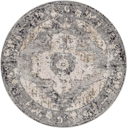 Bowen Traditional Charcoal Area Rug