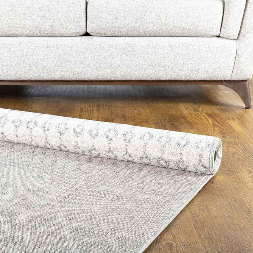 Louise Global Light Gray/White Area Rug