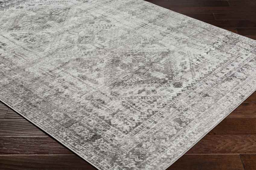 Jules Traditional Light Gray/White/Charcoal Area Rug