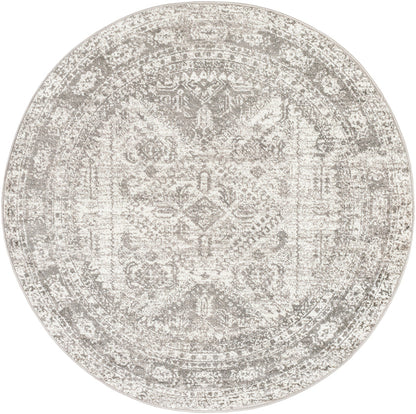 Jules Traditional Light Gray/White/Charcoal Area Rug